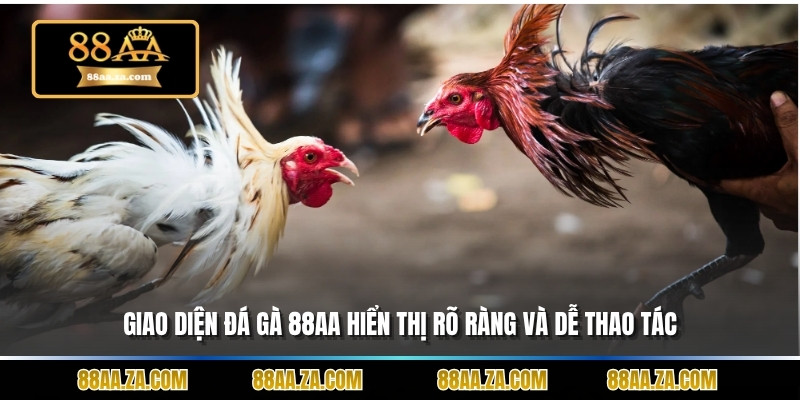 Giao diện đá gà 88aa hiển thị rõ ràng và dễ thao tác.