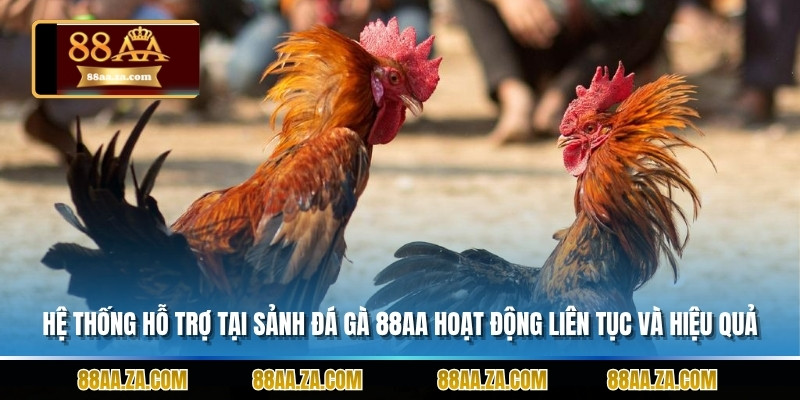 Hệ thống hỗ trợ tại sảnh đá gà 88aa hoạt động liên tục và hiệu quả.