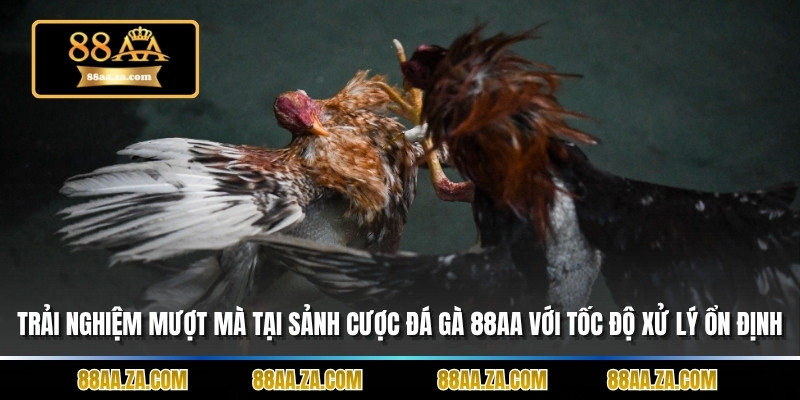 Trải nghiệm mượt mà tại sảnh cược đá gà 88aa với tốc độ xử lý ổn định.